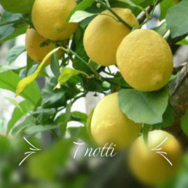 VACANZE IN SICILIA 1 SETTIMANA