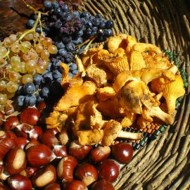 OTTOBRE tra sagre, feste e ancora mare